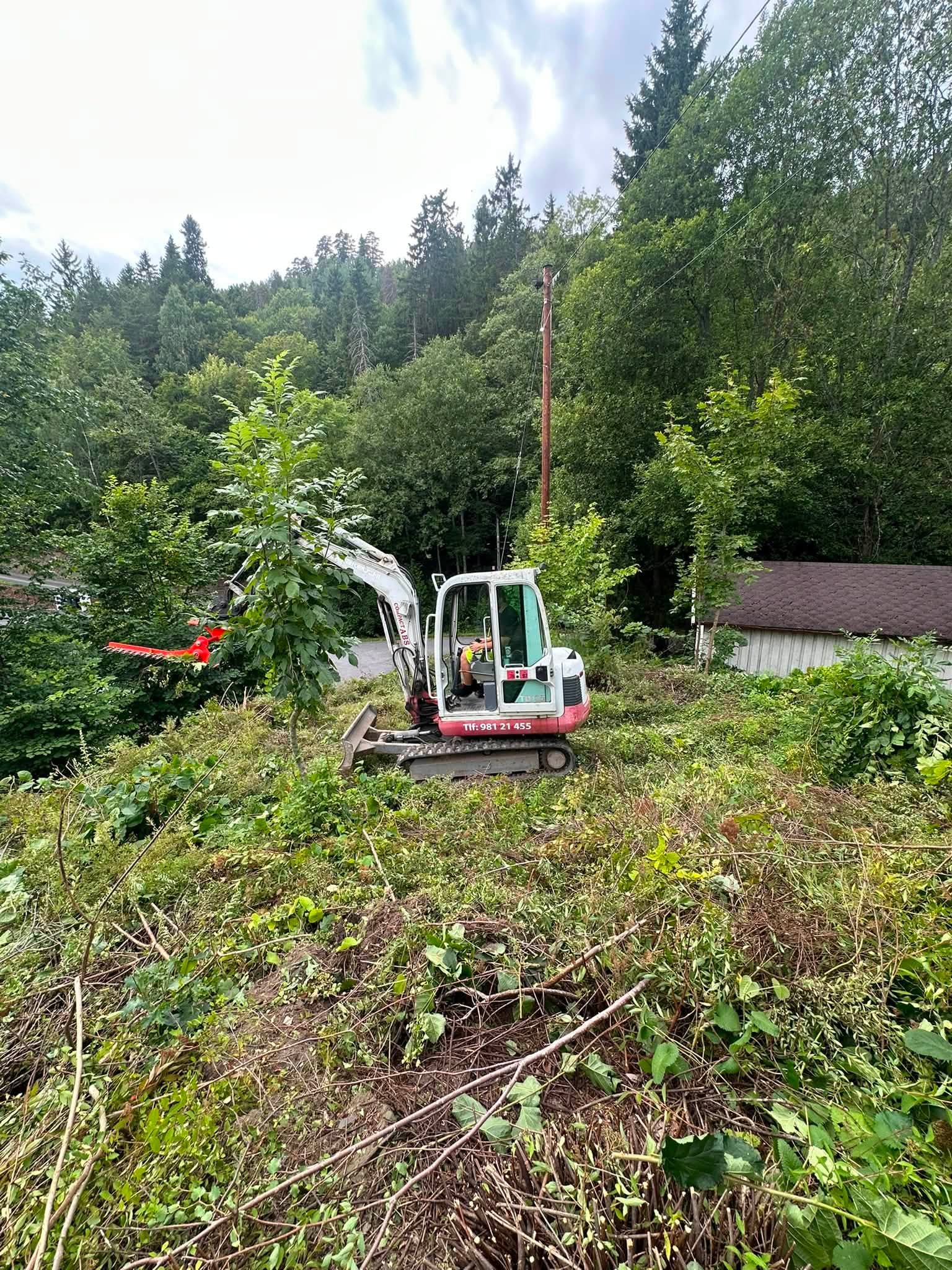 Vegetasjonsrydding i bratt terreng